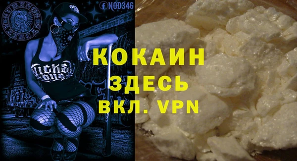 хмурый Алзамай
