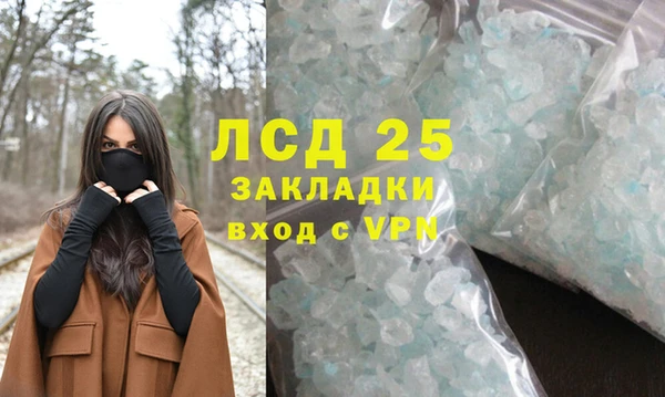 хмурый Алзамай