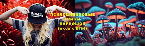 хмурый Алзамай