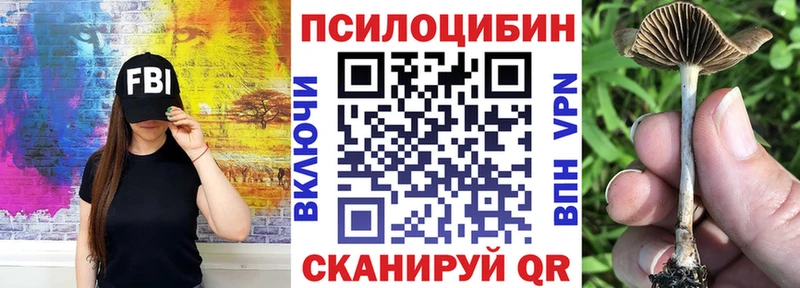 Галлюциногенные грибы MAGIC MUSHROOMS Тында